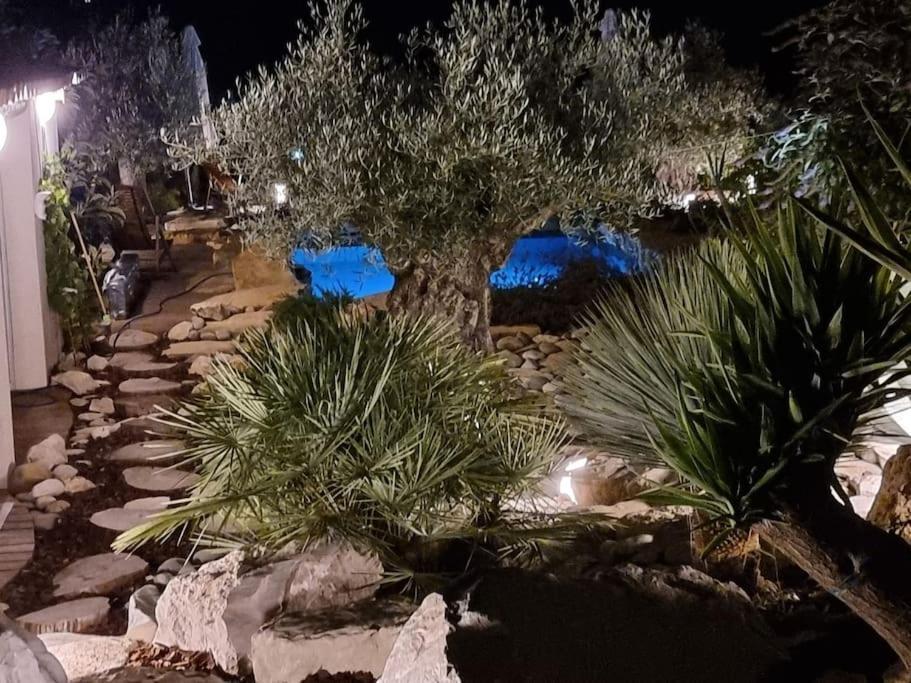 Une Oasis Au Pays De Cezanne آيكس أومبروفينس المظهر الخارجي الصورة