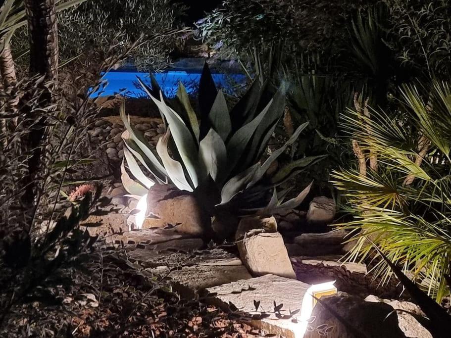 Une Oasis Au Pays De Cezanne آيكس أومبروفينس المظهر الخارجي الصورة
